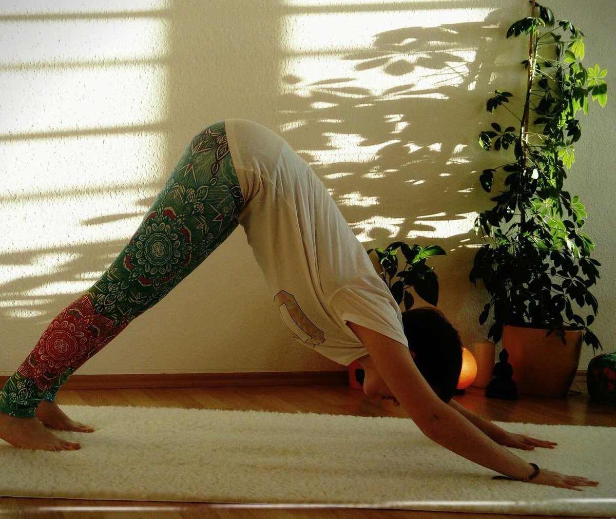 Ayurveda-Yoga — herabschauender Hund